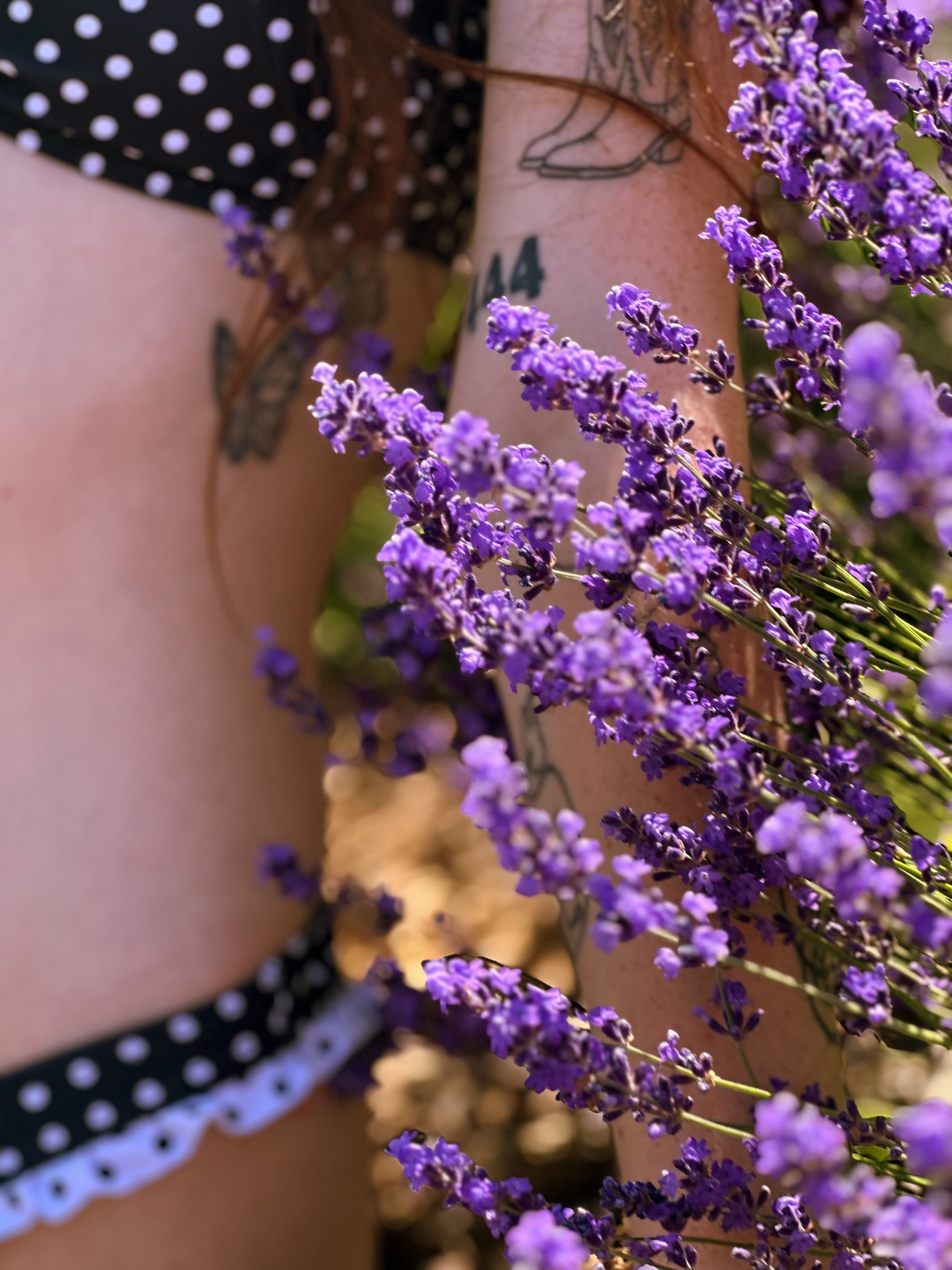 Lavender Darling - Set